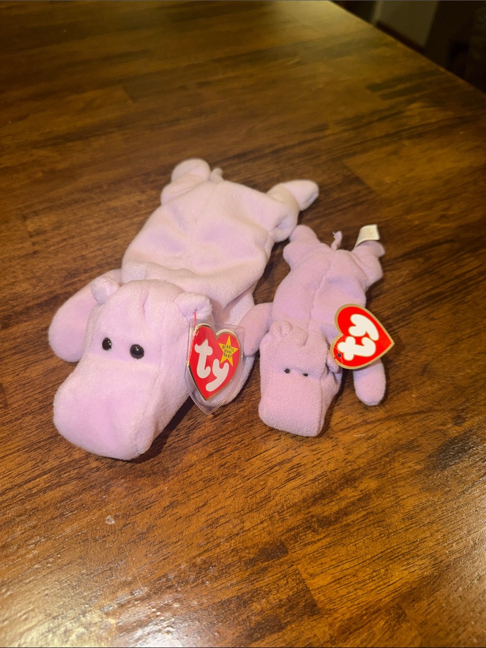 Ty Beanie Babies Hippo Plush Pair with Tags